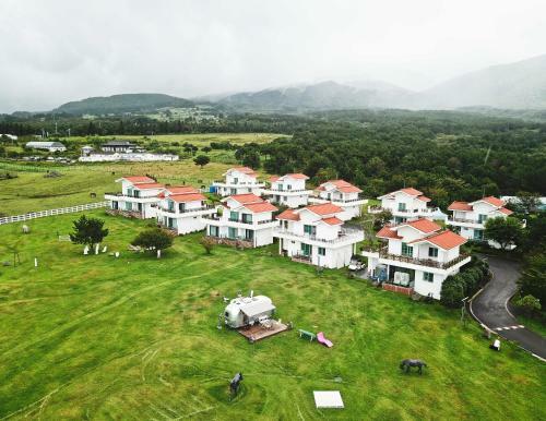 Hotel Amber Resort Jeju