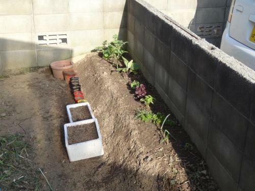 Hostal Guesthouse Fujiya