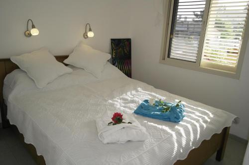 Apartamento Israeli Home