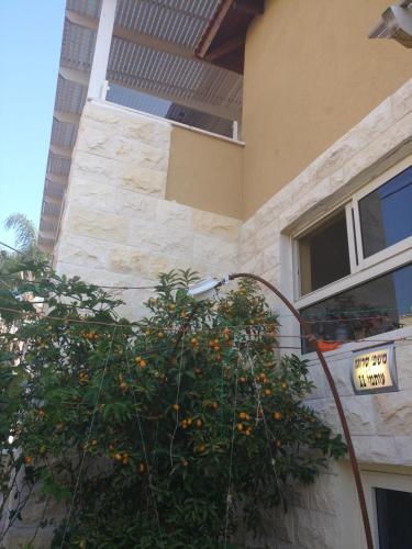 Apartamento Israeli Home