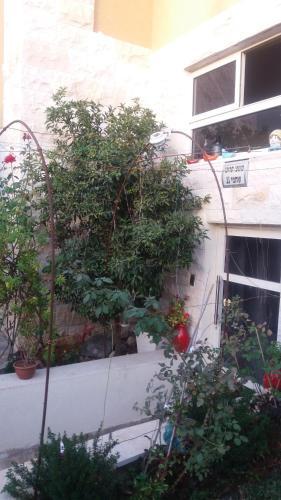Apartamento Israeli Home