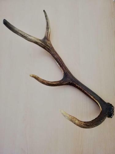 Posada Fischgasthof Jerolitsch