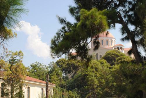 Marita's Apartment - Dikastirion