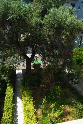 Marita's Apartment - Dikastirion