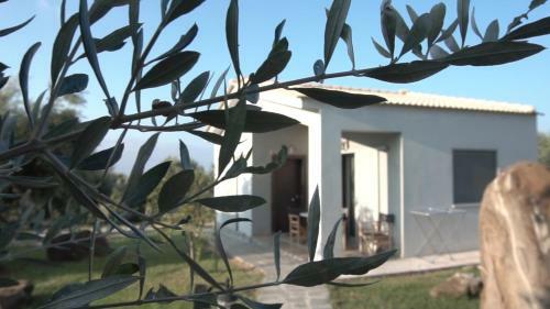 Apartamento Socrates Organic Village - Wild Olive