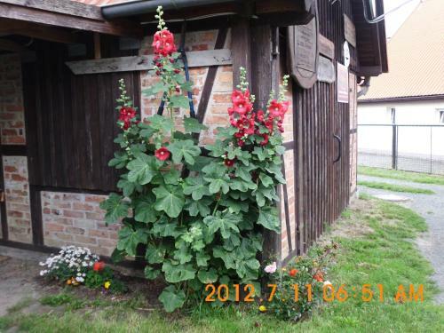 Apartamento Ferienwohnung Kallfass
