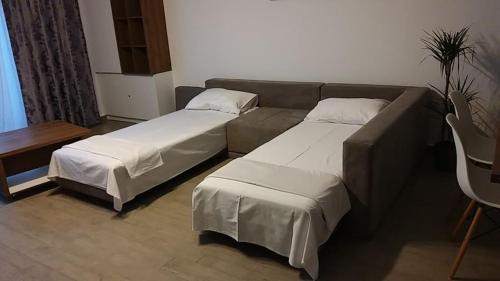Sophia Apartment Mamaia