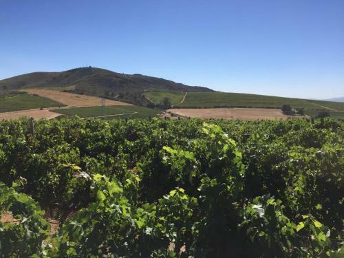 Apartamento Domaine Coutelier