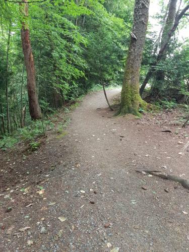 Holland Creek Bbvacation