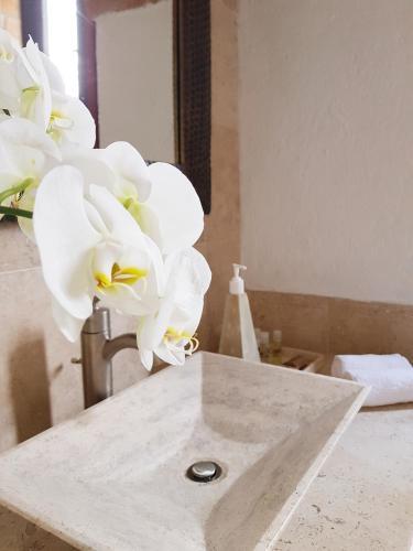 Hotel Casa Embrujo Morelia - Boutique