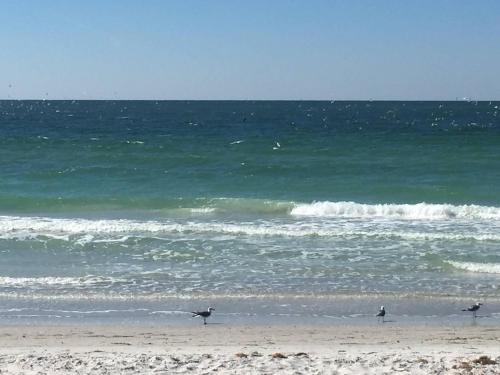 Aqua Beach Two Bedroom Apartment