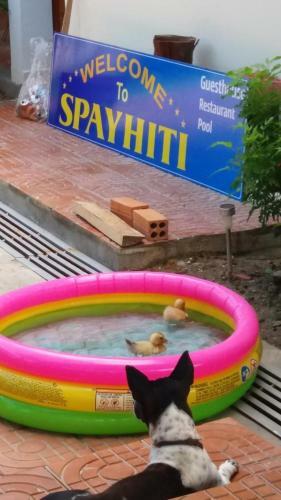 Posada Spayhiti
