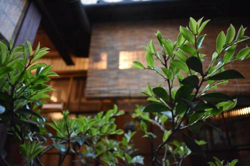 Albergue Osaka Guesthouse Midoriya