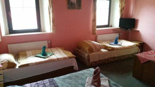 Hotel Penzion Pegas Depoltovice