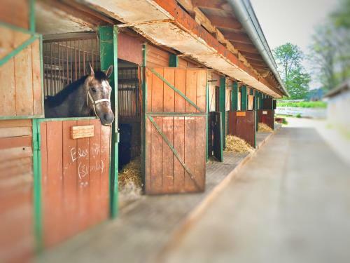 Hotel Penzion Pegas Depoltovice
