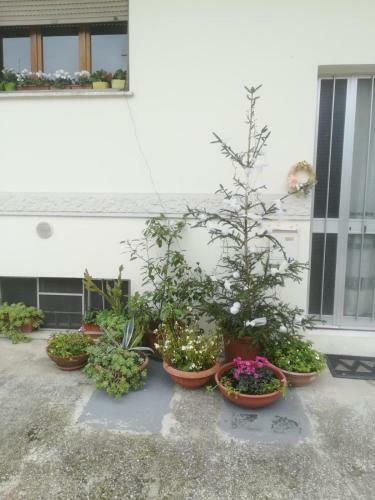 Apartamento Caterina House