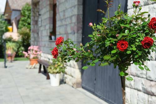 La Residenza Di Bacco
