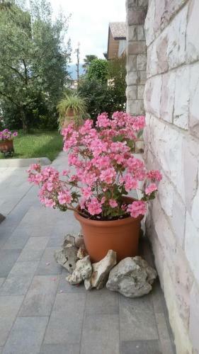 La Residenza Di Bacco