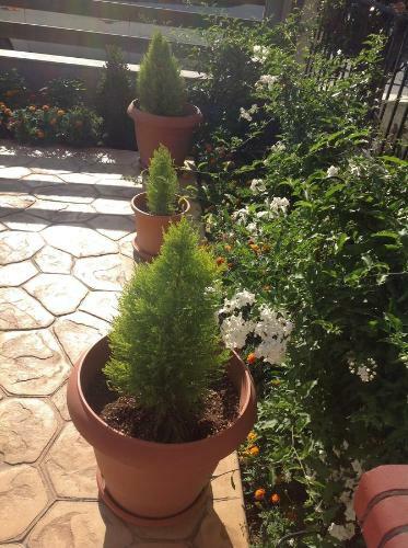 Apartamento Villa Rafailia