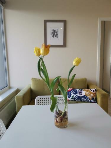 Apartamento Cozy Studio Tower