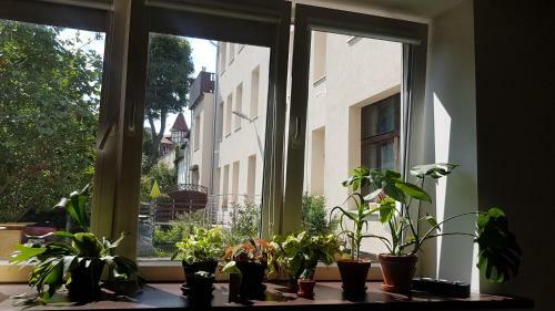 Spoko Hostel