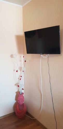 Hostal V Aleksino Guest House