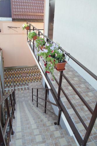 Hostal V Aleksino Guest House