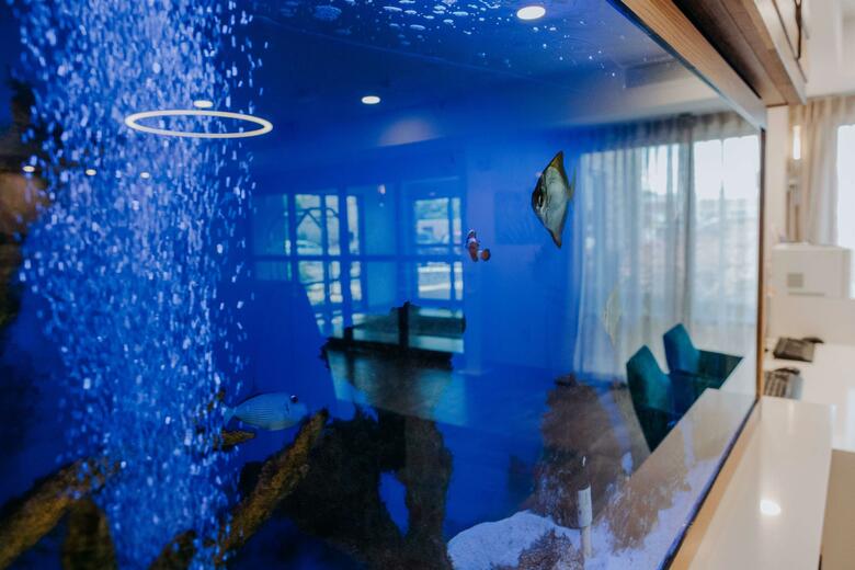 Hotel Hampton Inn Rehoboth Beach