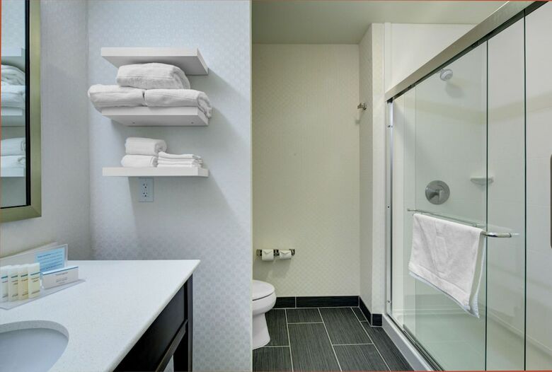 Hotel Hampton Inn And Suites Roanoke-downtown, Va