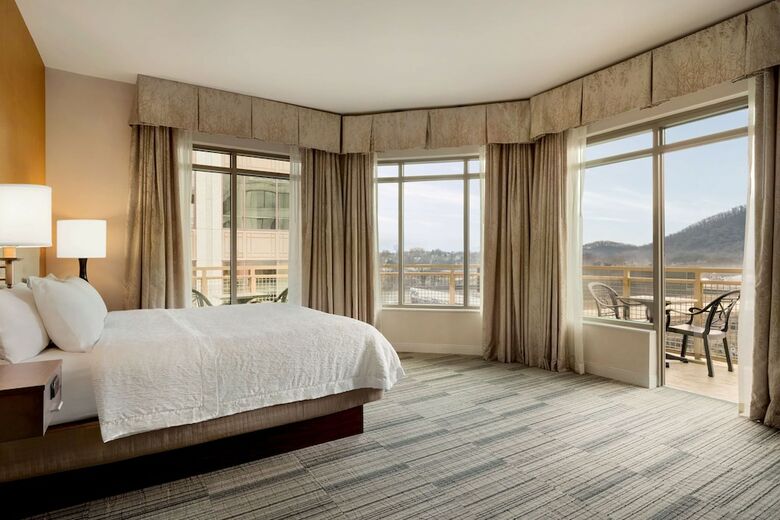 Hotel Hampton Inn And Suites Roanoke-downtown, Va