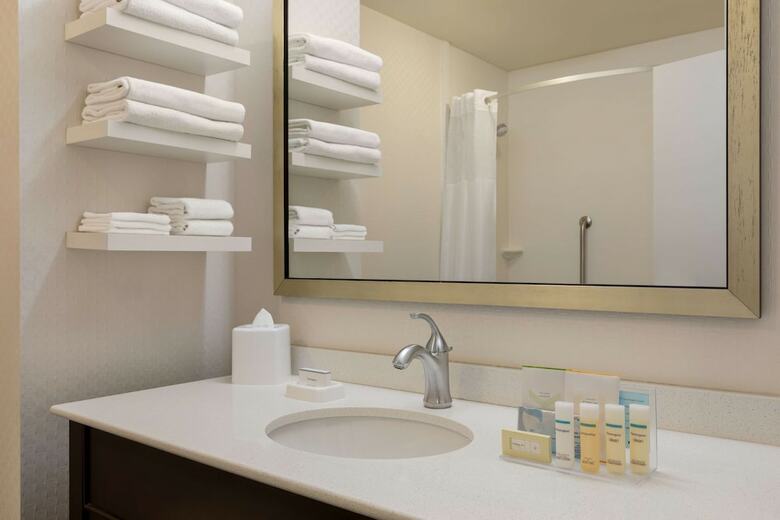 Hotel Hampton Inn And Suites Roanoke-downtown, Va