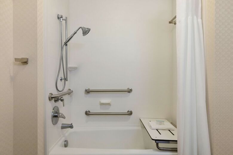 Hotel Hampton Inn And Suites Roanoke-downtown, Va