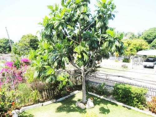 Paradise Palms Jamaica Vacation Rental