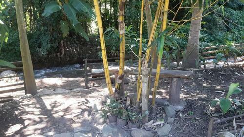 Bed & Breakfast Doo-dao-doi Farm & Stay