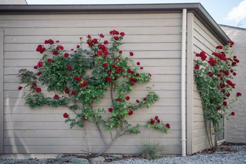 Agroturismo 1220 Gibbston Lodge