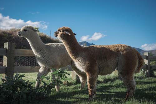 Agroturismo 1220 Gibbston Lodge