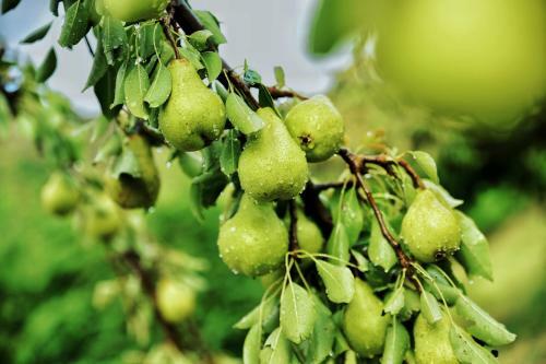 Agroturismo 1220 Gibbston Lodge