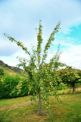 Agroturismo 1220 Gibbston Lodge