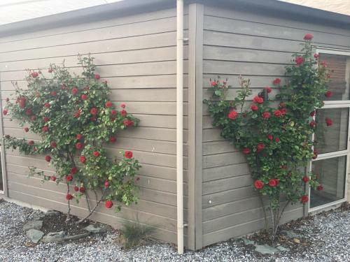 Agroturismo 1220 Gibbston Lodge