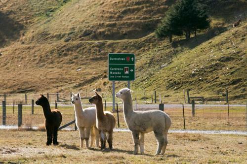 Agroturismo 1220 Gibbston Lodge