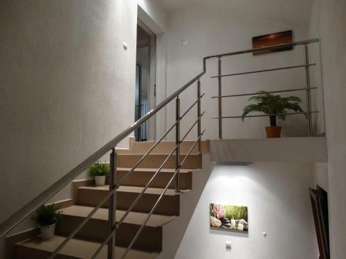 Hostal Guest House Traikovi