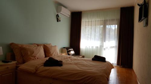 Villa Sonita