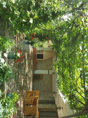 Villa Sonita