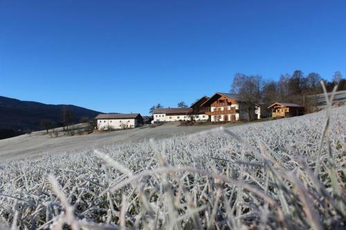Apartamento Kriegerhof