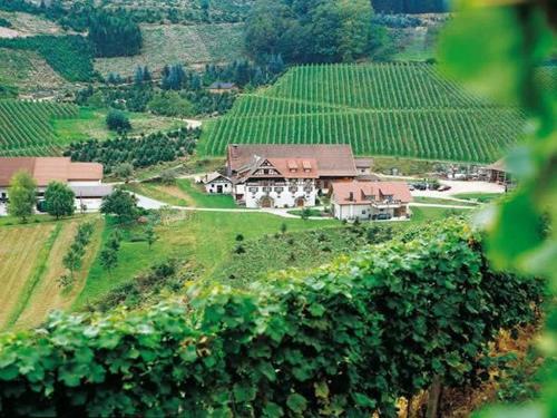 Apartamento Weingut Alfred Huber
