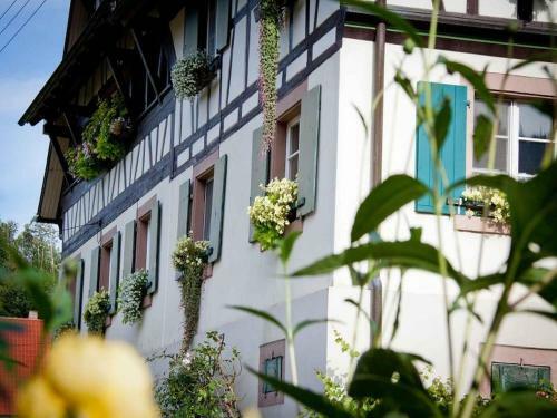 Apartamento Weingut Alfred Huber