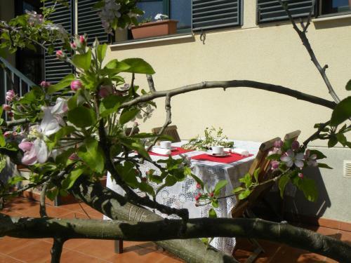 El Jardin De Los Gatos Apartament