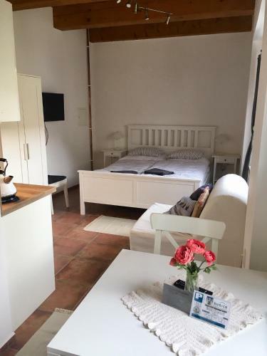 Apartm�ny U Vav?ince