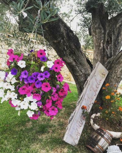 Agroturismo Agriturismo Le Faeta