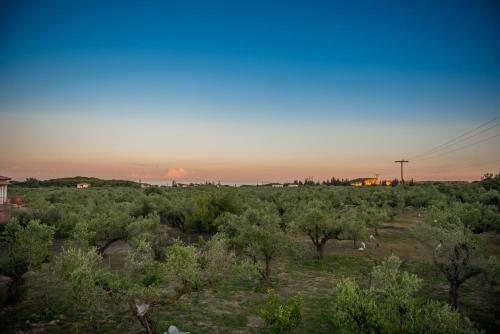 Apartamento Casa Di Porto Roma